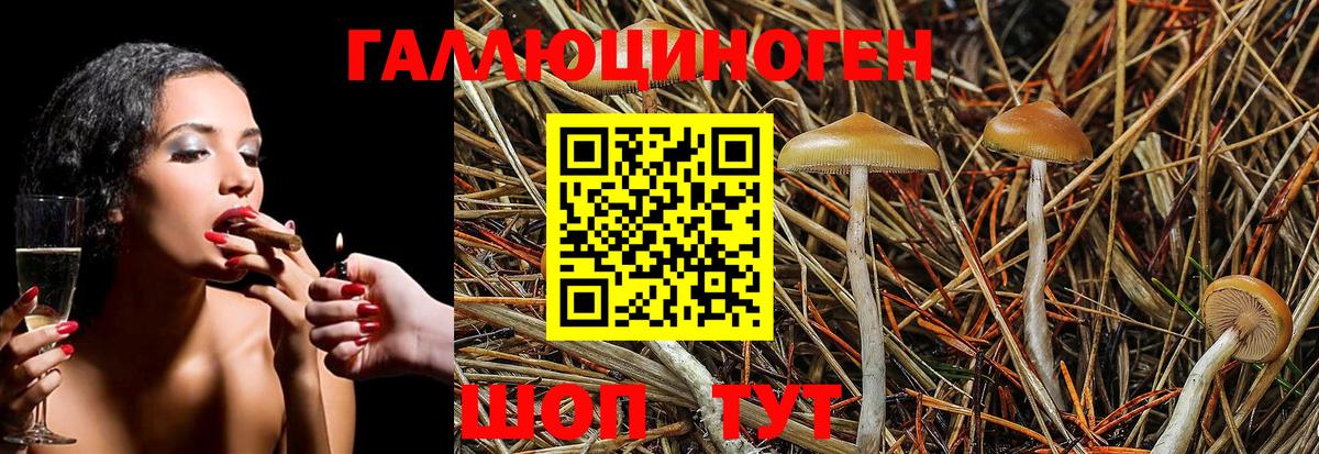 Псилоцибиновые грибы мицелий Нижний Тагил
