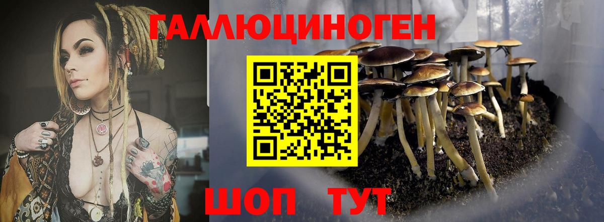 купить наркотик  Вход с VPN  Псилоцибиновые грибы прущие грибы  Нижний Тагил  Галлюциногенные грибы Psilocybe 